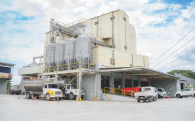 Productos veterinarios: los insumos esenciales que sostienen la salud y la rentabilidad en granja